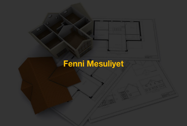 Fenni Mesuliyet