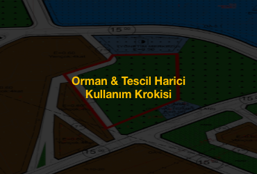 Orman & Tescil Harici Kullanım Krokisi